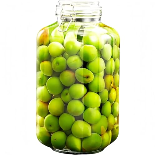 KazeSo ʎт KX ~r r ۑe 2L?5L ApKXr t Cr e  }E~Ή r  e Hiۑp (5L,p^) [sAi]