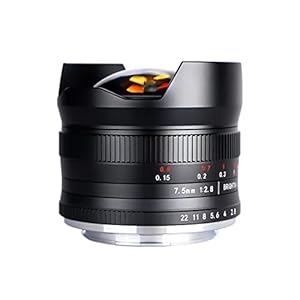 7.5mm F2.8 II Ultra Wide-Angle Fisheye Manual Focus APS-C Mirrorless Camera Lens for M43