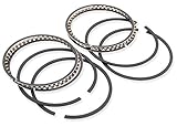 Hastings Cast Ring Set - Standard Bore 6164-STD