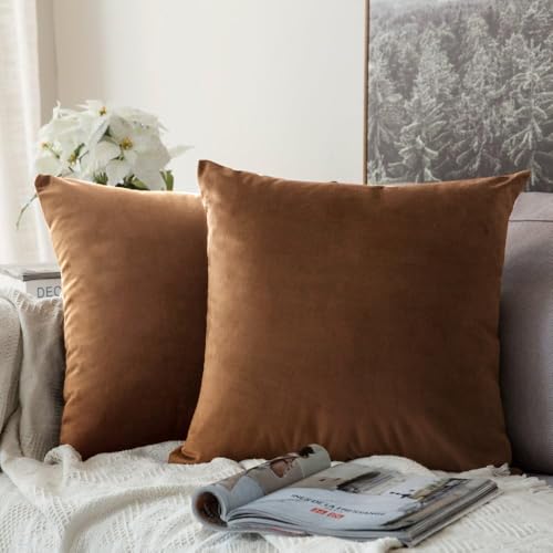 MIULEE Velvet Throw Pillow Covers 20x20 Inch, Pack of 2 - Chocolate, Super Soft Decorative Square Cushion Cases Modern Luxury Home Decor for Sofa,Couch,Bed,Chair