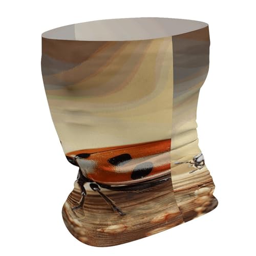 Women's Day Greeting Card Neck Gaiter Face Cover Scarf, Breathable Sun Balaclava for Skiing Fishing Hiking Cycling3