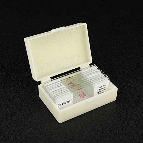 Image of Prepared Epithelium Types Microscope Slides Set, Excellent 11pcs Specimens Representing The Major Types of Epithelium