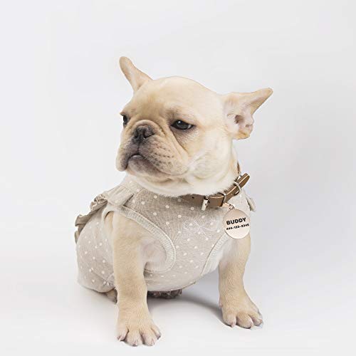 Round Stainless Steel Pet Id Tags, Personalized Dog Cat Tags, For Free Engraving Front & Back (Regular, Rose Gold) #TOP2