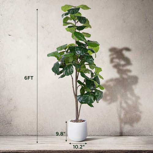 Jocoevol Artificial Fiddle Leaf Tree, 6Ft Faux Plant Fake Ficus Lyrata Silk Trees With White Planter, Artificial Fig Trees Floor Plants For House Office Living Room Indoor Home Decor thumb #4