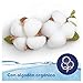 Dodot Aqua Pure Toallitas Para Bebé con 99% Agua - 1 Paquete...