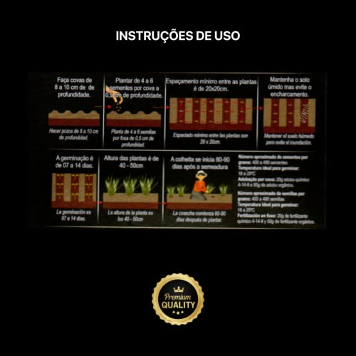 Kit 4 Sementes Temperos Horta Em Casa Jardins Vasos (Cebolinha, Salsinha, Manjericão, Alecrim)