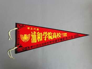 41iQl6vqCgL._UF350,350_QL50_.jpg