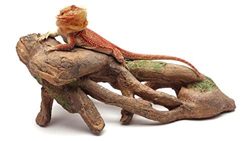 CAROLINACUSTOMCAGES Gnarled Large Root, Brown, Reptile Habitat Accessory