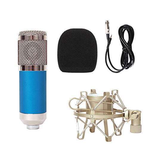 Preisvergleich Produktbild Homeofying Pro Studio Kondensatormikrofon Tonabnehmer Aufnahme Mikrofon + stoßfeste Halterung