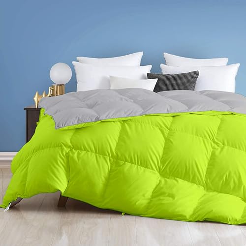 Image of Day Care - 400 GSM Hotel Quality-Down Alternative Reversible Blanket for Winter Double Size (90 inch x 100 inch Inches /228cm x 228cm) -Comforter Set for Double Bed|Parrot /Silver