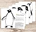 Penguins Jumping Flying Funny Vinyl Wall Sticker Decor Decal Mural Kitchen Pets