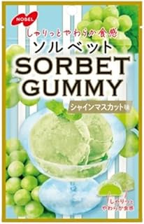 ノーベル製菓 ソルベットグミ シャインマスカット味 50g×6袋入×(2ケース)