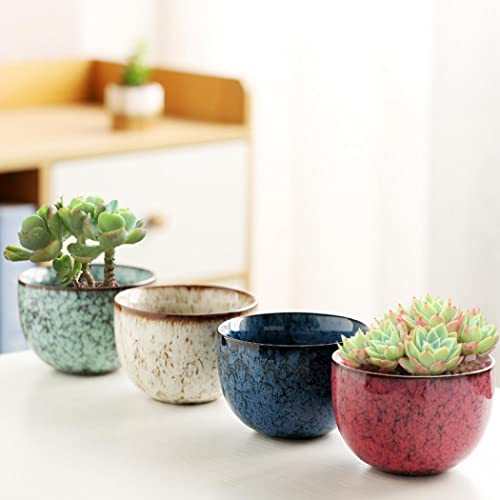 Gelory Succulent Pots - Image 2