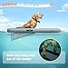 Dog Pool Ramp | 60×40