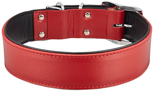 A[XybgTK DSWv 42(^p) 