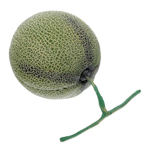 Toyvian ?�^�������͌^ �t�H�g�v���b�v ���������p �l�H�t���[�c�f�B�X�v���C ��^ �l�H������ ����������f�U�C�� �t���[�c�v���[�g��e�[�u���Z���^�[�p