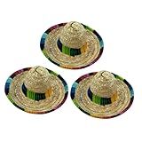 FUTUREORYY 3個 ペット用メキシコ風麦わら帽子 犬猫コスプレ帽子 軽量デコレーションパーティー撮影用調節不要