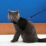 Niteangel 2-Pack of Adjustable Cat Harness with Elastic Leash (M & L, Black)