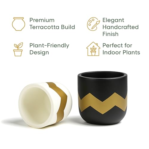 Image of Urban Plant Terracotta Pot - Trendy Planter for Modern Home & Garden Spaces (Terracotta Grace - Set of 2)