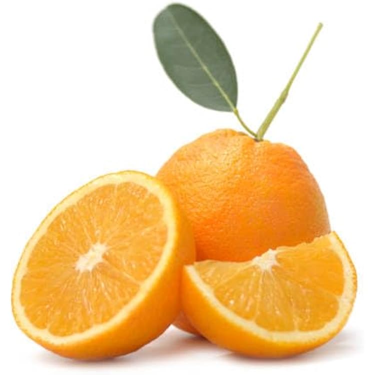 9 Hardy Navel Orange Seeds