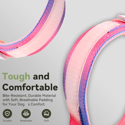 Image of 2026 Upgrade Waterproof Tactical AirTag Dog Collar, Built in AirTag Holder