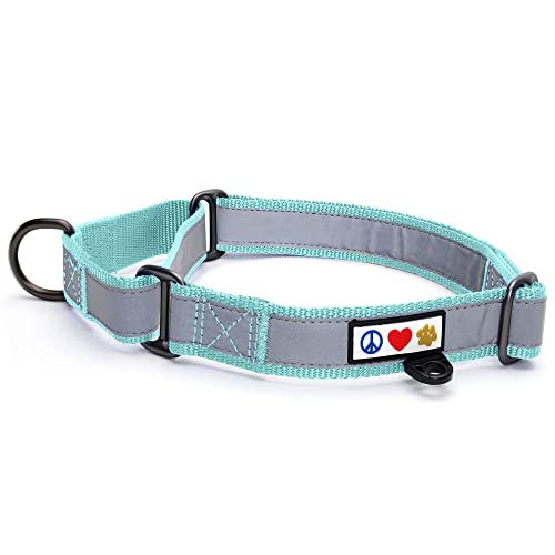 Pawtitas Martingale Dog Collar Puppy Collar Reflective Dog Collar Training Dog Collar Behavioral Dog Collar Small Dog Collar Teal Dog Collar