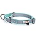 Pawtitas Pet Reflective Adjustable Soft Dog Collar Martingale Training Teal Small 5/8 Inch
