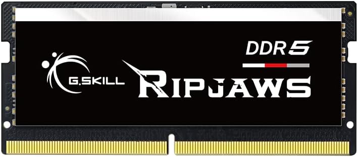 G.SKILL Ripjaws DDR5 SO-DIMM Series DDR5 RAM 64GB (2x32GB) 4800MT/s CL40-39-39-76 1.10V Unbuffered Non-ECC Notebook/Laptop Memory SO-DIMM (F5-4800S4039A32GA2-RS)