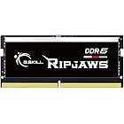 G.Skill RipJaws DDR5 SO-DIMM Series (Intel XMP) 32GB (1 x 32GB) 262-Pin DDR5 4800 CL38-38-38-76 1.10V Single Channel Memory F5-4800S3838A32GA1-RS