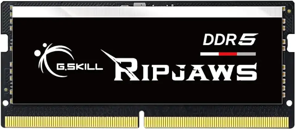 G.SKILL Ripjaws DDR5 SO-DIMM Series DDR5 RAM 16GB (1x16GB) 4800MT/s CL34-34-34-76 1,10V Unbuffered Non-ECC Notebook/Laptop Memory SO-DIMM (F5-4800S3434A16GA1-RS)