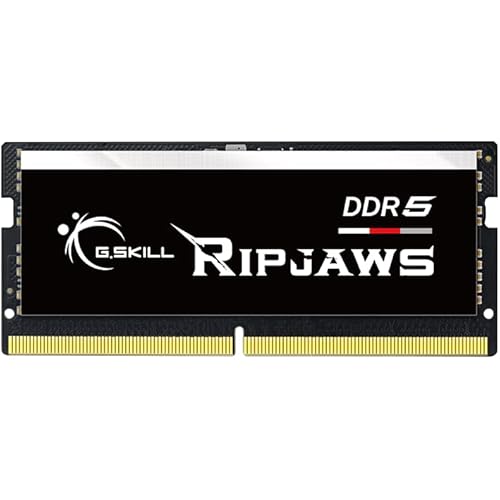 G.SKILL Ripjaws DDR5 SO-DIMM Series DDR5 RAM 16GB (1x16GB) 4800MT/s CL34-34-34-76 1.10V Unbuffered Non-ECC Notebook/Laptop Memory SO-DIMM (F5-4800S3434A16GA1-RS)