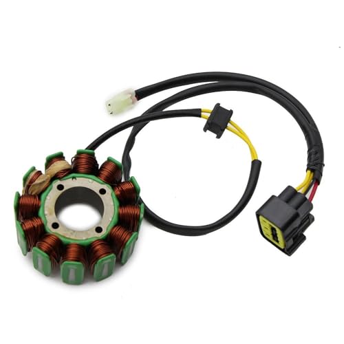 Bobine de stator pour TM Racing 4 temps YS 9018 F15547 MX250 EN300