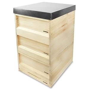 APIFORMES Zander Beute ZN 10 Bienenhaus