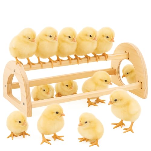 Chicken Roosting Perch Bar - Large Pine Wood with Mirror Outdoor Use Easy Installation