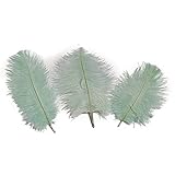 Lampu オーストリッチフェザー 6～8インチ ミントグリーン オーストリッチフェザー プラーム ウェディングセンターピース ホーム花瓶装飾 10個入り