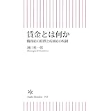 賃金とは何か　職務給の蹉跌と所属給の呪縛 (朝日新書)