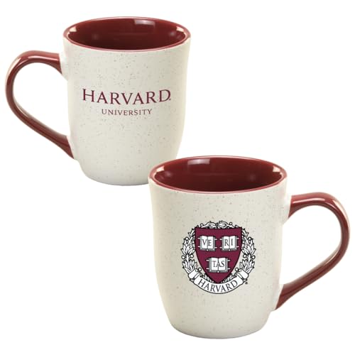 RFSJ Harvard Crimson Ceramic 16oz Granite Mug – Official