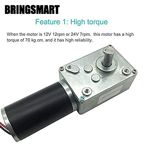 Image of BRINGSMART 24V 5rpm DC Worm Gear Motor 70kg.cm Self-Locking Reversed Mini Turbine Geared Motor for DIY Robot Rotating Table Door Lock Curtain Machine