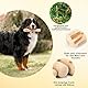 Kauknochen Hunde- Natürlicher Kaffeeholz, Holzknochen als Hundespielzeug für Welpen, 2er Pack Kauknochen Hund als Zahnpflege & Kauspielzeug, Hundezubehör für Welpen & kleine Hunde
