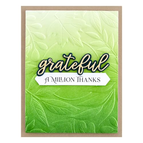 Classeur de gaufrage 3D Spellbinders Claire matrice relief papier scrapbooking