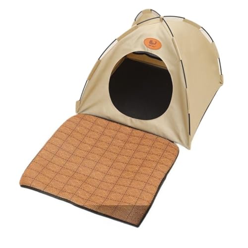 FiozweaėpybgVF^[AO\Ő􂦂锼^egA^h[^̔Lƌp̃P[WA܂肽ݎŒʋCɗDAN[}bgtB (TCYFS,ItzCg [p}bgt])