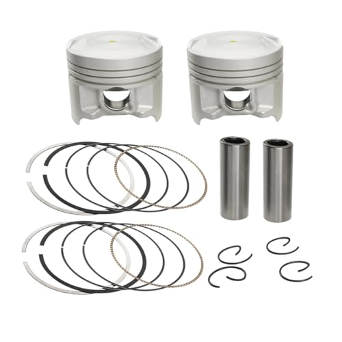 Segment de Piston Moto de Haute Précision pour Moteur GSX250R et DL250