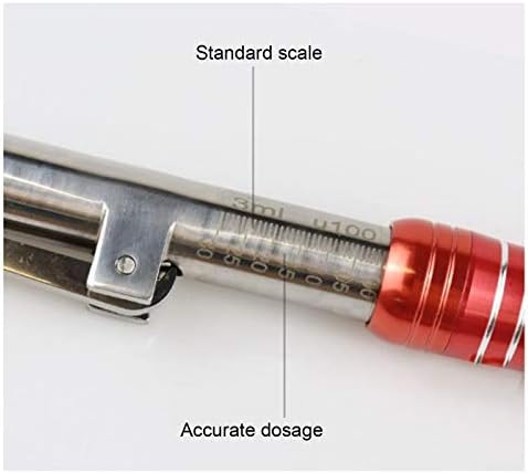 Hyaluronic Acid Pen, Hyaluron Needle Free Injection Pen Hyaluronic Acid Injection Pen Beauty Salon Anti Wrinkle Needle Free Syringe Atomizer