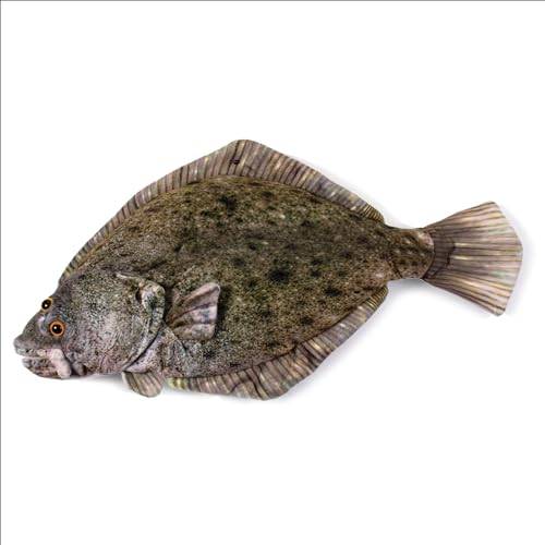 How big can halibut get