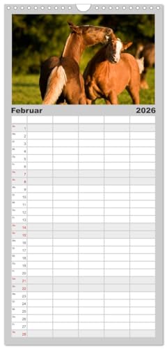 Familienplaner 2026 - Faszination und Vielfalt - Schwarzwälder Kaltblut mit 5 Spalten (Wandkalender, 21 cm x 45 cm), CALVENDO: Kraftvoll, elegant, ... Pferd durch das Jahr (CALVENDO Tiere)