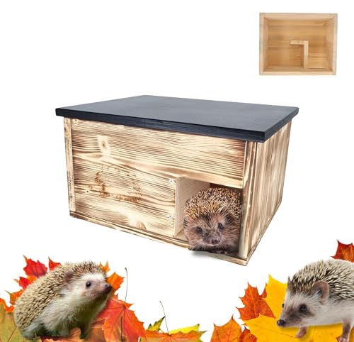 CAWI Casetta per Ricci in Legno con Ingresso Labirinto