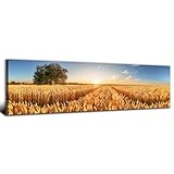 Sunset Meadow Forest Wall Art Nature Wheat Field Landscape Pictures Wall Decor for Living Room Kitchen Sunrise Country Panoramic Painting Farmhouse Scenic Poster Artwork Home Bedroom Decoration 14x48”