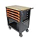 LULUINSHINE 4 Drawers Multifunctional Tool CART with Wheels and Wooden TOP (Orange + Metal)