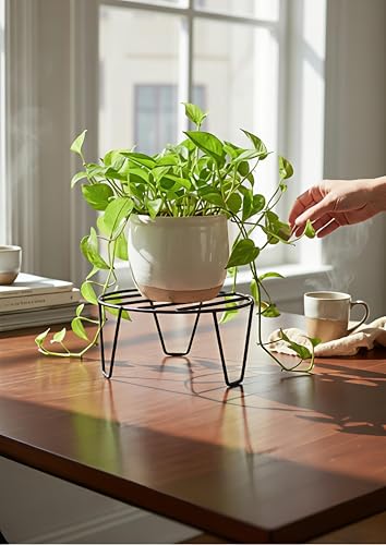 Image of Heavy Duty Stainless Steel Trivet Stand | Heat Resistant Pot Holder | Durable Kitchen Rack for Hot Utensils
