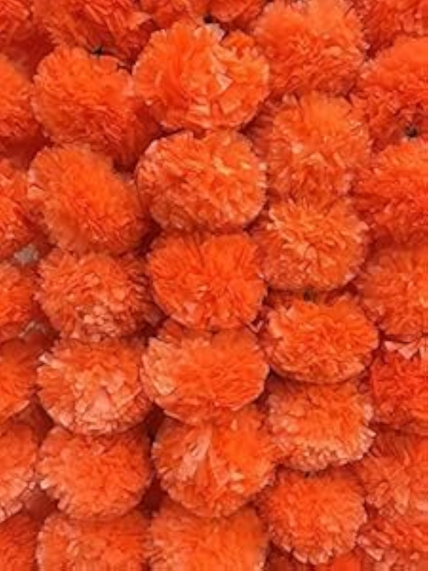Backdrop Setup for Mehndi, Haldi, and Marriage Ceremonies